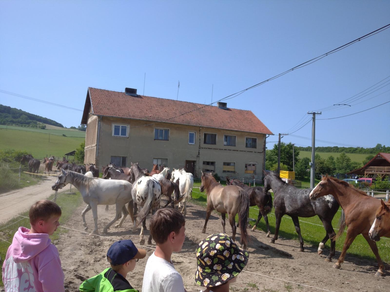 Hipocentrum Koryčany